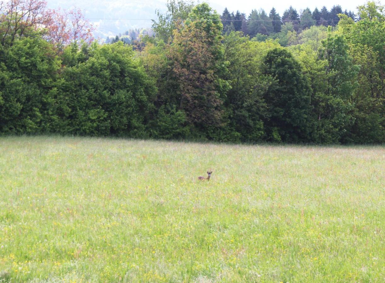 Haus Falle Schiefling am See Kültér fotó